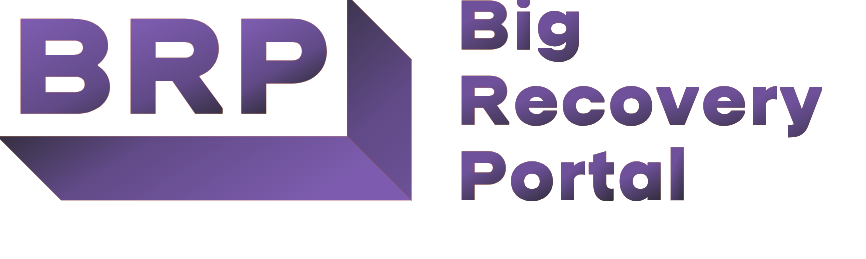 Big Recovery Portal