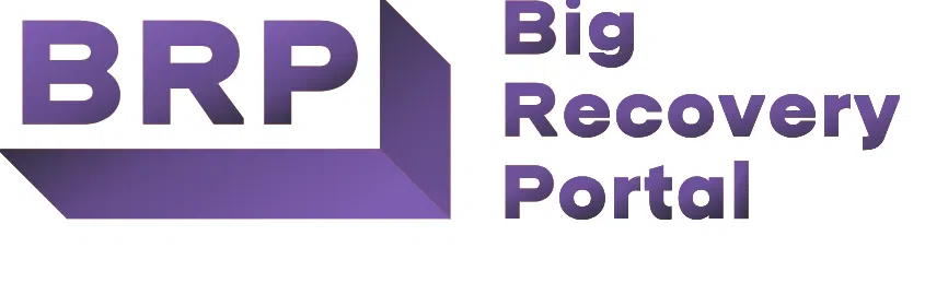 Big recovery portal